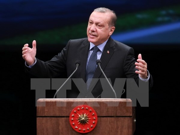  La Turquie convoque l'ambassadeur allemand après l'annulation d'une rencontre en Allemagne - ảnh 1